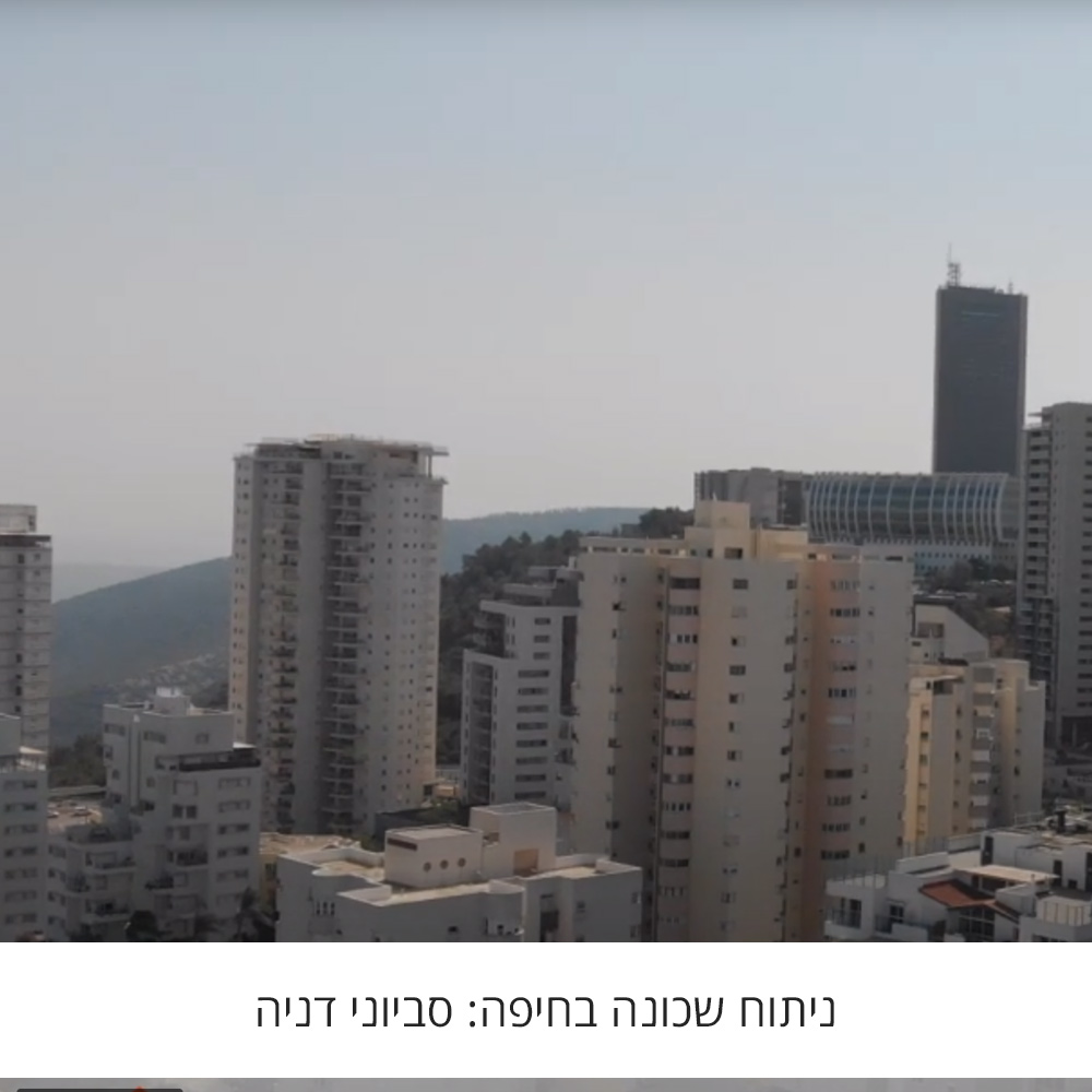 ניתוח שכונת סביוני דניה בחיפה