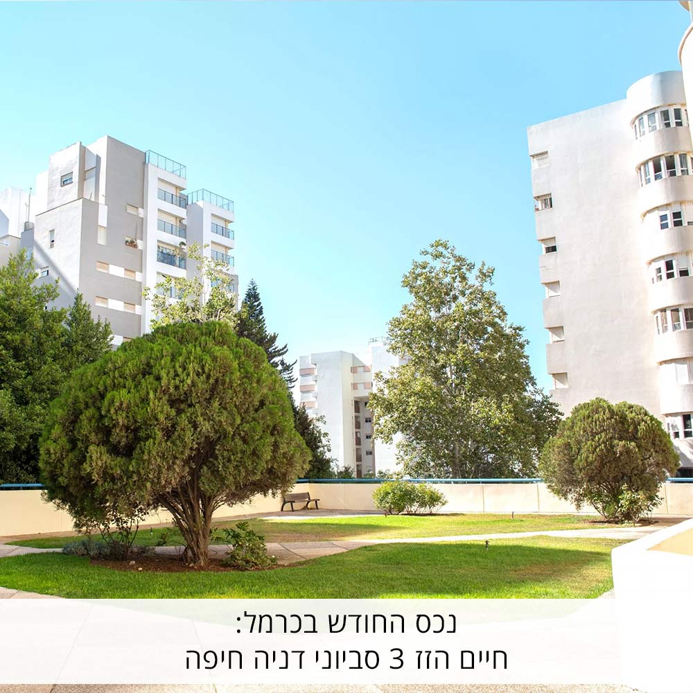 דירה למכירה חיים הזז 3 בחיפה דירה מאורת עם נוף לים - פתרונות נדל"ן