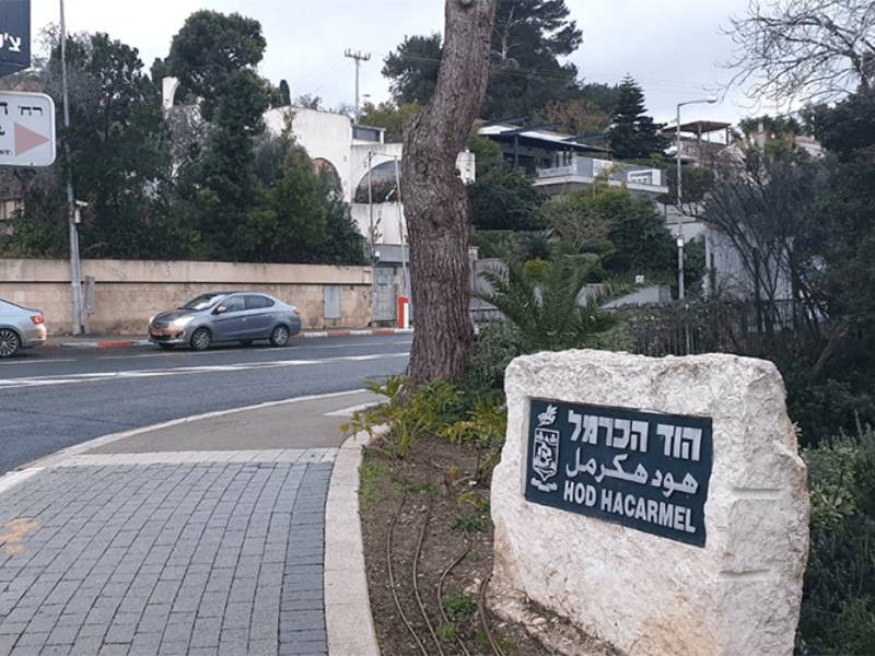 שכונת דניה הוד הכרמל מדורגת במקום השלישי בשכונות בישראל - פתרונות נדלן