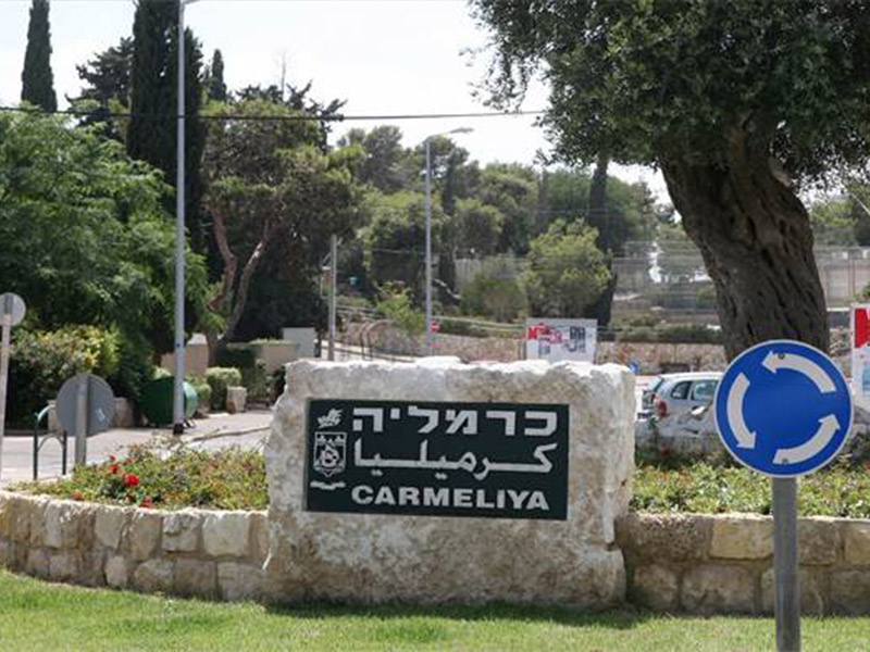 שכונת כרמליה חיפה, מידע מקצועי וכל מה שרציתם לדעת - פתרונות נדלן
