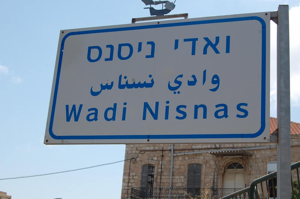 שכונת ואדי ניסנאס ואדי סאליב בחיפה - פתרונות נדלן