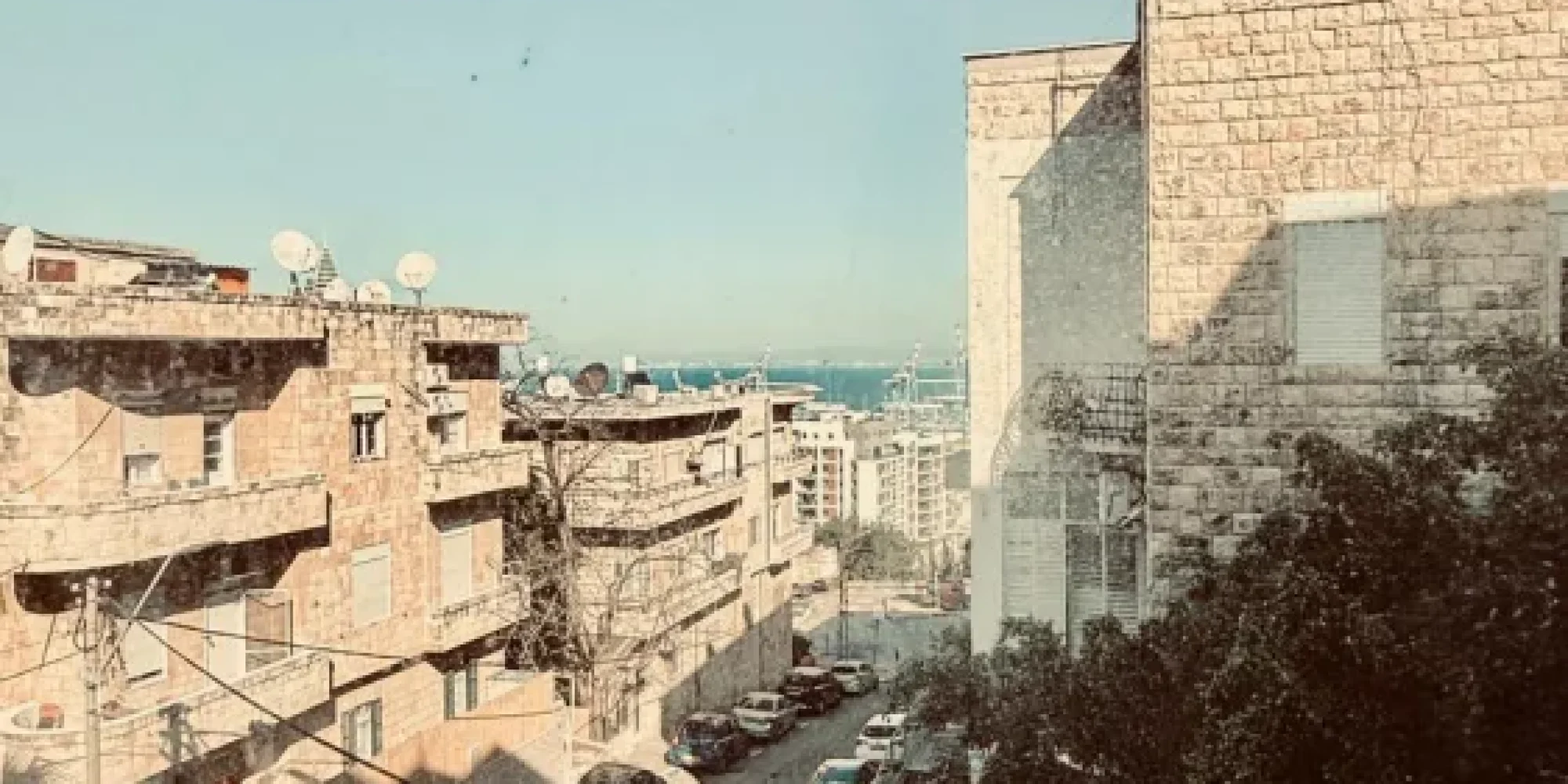 WhatsApp Image 2026-01-12 at 14.31.26