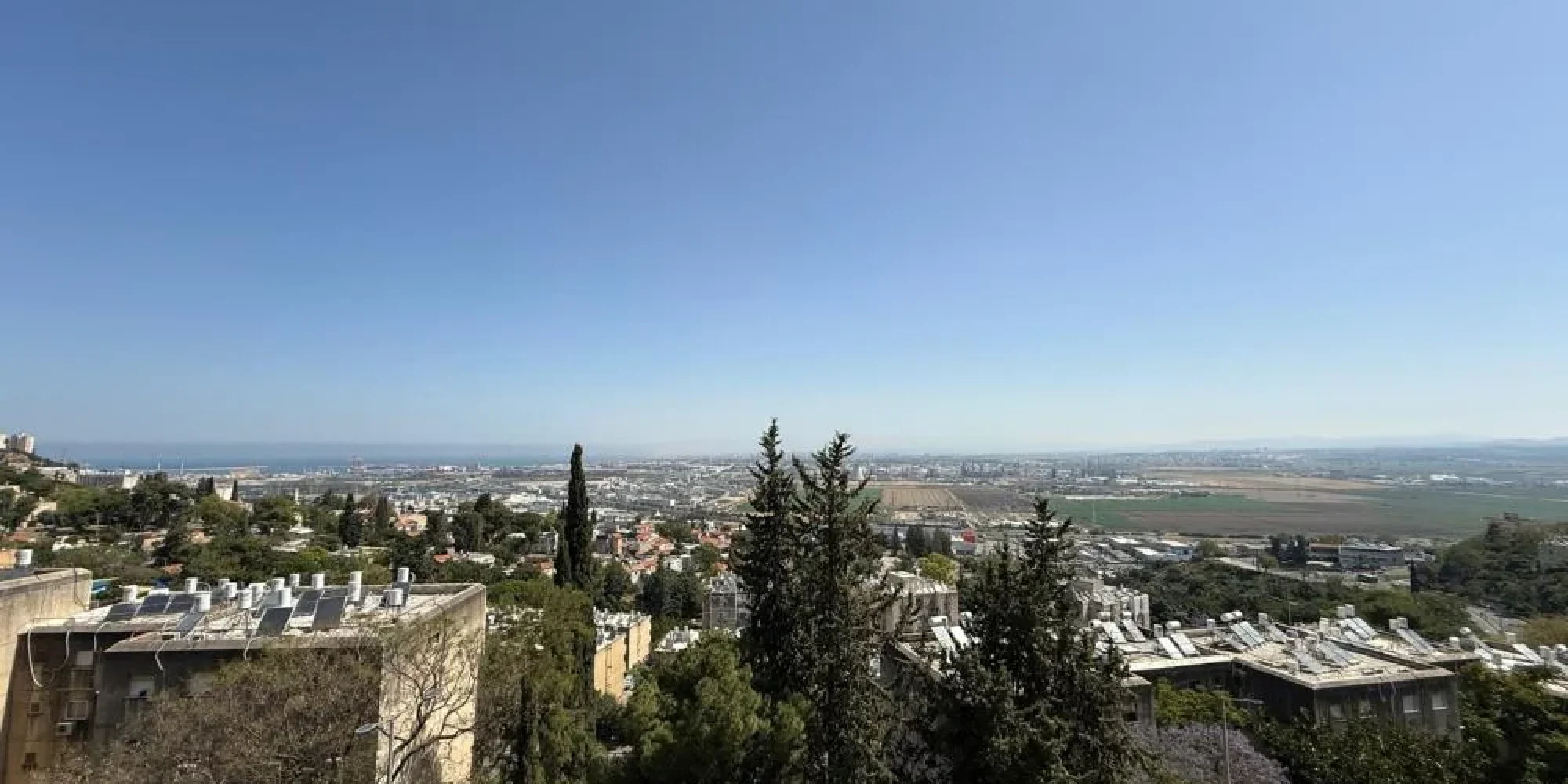 חבצלת 12